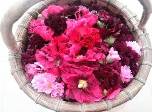 Vente en gros d'<span class=keywords><strong>hibiscus</strong></span> <span class=keywords><strong>mutabilis</strong></span> chinois thé aux fleurs séchées OEM commande d'échantillon gratuit - Product Image 6