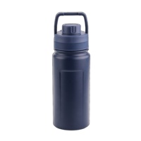 Petite gourde isotherme en acier inoxydable de 550 ml, idéale pour les adolescents