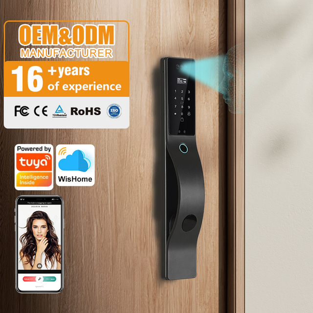 Factory Price 3D Face Recognition Electric Digital Lock Smart Locks Wishome App Biometric Fingerprint Smart Door Lock