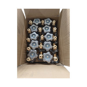 Valvola per Bombola di Protossido d'Azoto in Ottone Personalizzabile, Valvola per Bombola di Gas ad Alta Pressione, Supporto OEM Direttamente dalla Fabbrica per la Russia - Product Image 5