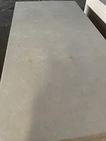 Meilleure qualité contreplaqué de bouleau 3mm-18mm feuille 1525*3050 bois naturel 100% contreplaqué de bouleau baltique design industriel pour cuisine hôtel