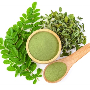 Extrait de feuille de Moringa personnalisable OEM, superaliment en poudre à base de plantes, conditionné en bouteille, fût ou récipient en verre - Product Image 2
