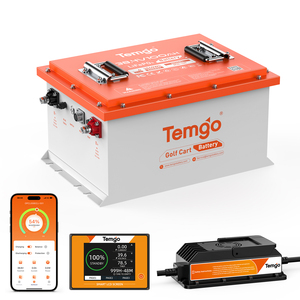 51.2V 100Ah 高尔夫球车锂电池 SPCC 外壳 36V 48V 100Ah LiFePO4 5 年保修 房车露营车电池 高尔夫球车电池 - Product Image 2