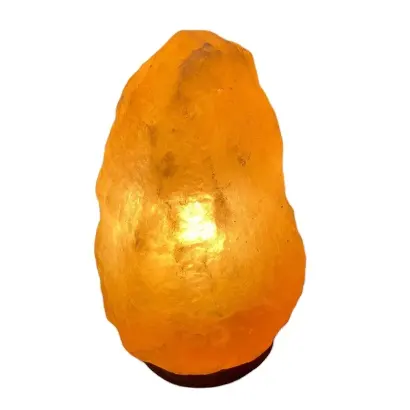 Eco-Friendly Home Decor Pink Himalayan Natural Crystal Rock Salt Lamps Wood Base Purified Air Selling Theme-Flower Mother Pearl