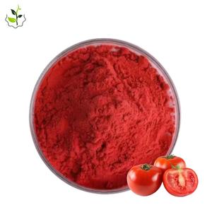 Prezzo di fabbrica di alta qualità Springjia sfuso estratto di pomodoro licopene estratto di pomodoro licopene - Product Image 1