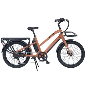 2023批发商货运自行车电动自行车5000w 2轮成人电池电动自行车成人电动自行车