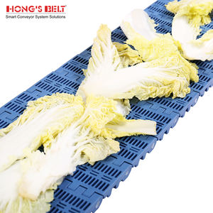 Hongsbelt 102B açık ızgara delikli modüler kemer delikli, kolay temiz yıkama konveyör bant gıda işleme için - Product Image 4
