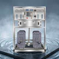 Système RO+EDI pour la production d'eau ultra-pure, équipement de traitement de l'eau industrielle avec garantie d'un an et capacité de 500 L/heure