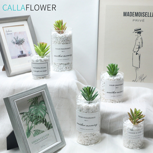 Modalità di Succulente artificiale <span class=keywords><strong>Mini</strong></span> semi di Loto <span class=keywords><strong>Piante</strong></span> Succulente/Succulente Planter - Product Image 6