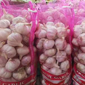 Ail frais de Chine 40mm 50mm 60mm Allium Sativum Qualité Premium Exportation en Gros Fournisseur Ajo Alho Ails - Product Image 1