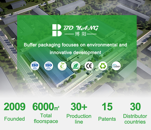 Bolsas de Polietileno Gruesas y Duraderas para Envíos de Ropa y Zapatos, Bolsas Impermeables para un Transporte Eficiente - Product Image 3