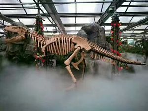 Custom Life Size <strong>Brachiosaurus</strong> <strong>Skeleton</strong> for Museum - Product Image 4