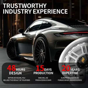 Rines Forjados de 18, 19 y 20 Pulgadas, 5x114.3, Acabado Plateado Cepillado, para Autos Deportivos Tesla Model 3, Model Y Performance, Jantes 911 - Product Image 6
