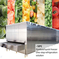 Hoge-efficiëntie fabriek IQF tunnelvriesmachine tunnelvriezer vriesapparatuur te koop voor fruit
