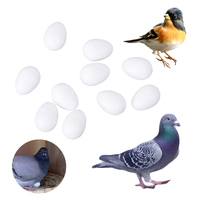 Œufs de pigeon en plastique solide, outils d'aviculture, œufs à couver, décoration DIY pour la maison, fournitures pour oiseaux, œufs de Pâques artificiels