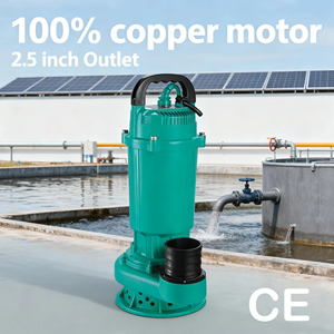 Bomba de Agua <span class=keywords><strong>Solar</strong></span> Sumergible de 750w, <span class=keywords><strong>Kit</strong></span> de Bomba de Corriente Continua con Controlador para Estanques de Jardín, Riego Agrícola - Product Image 3