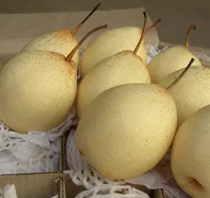 2023 Newest Crop Fresh Pears Fresh Singo Pear From China