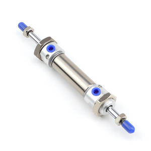 กระบอกลมสแตนเลสขนาดเล็กแบบสองช่องลมสำหรับงานก่อสร้างในฟาร์ม พร้อมลูกสูบที่จำเป็น - Product Image 1