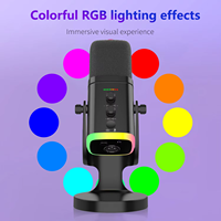 Mikrofon Gaming Dinamis Ringan RGB-800 dengan Pencahayaan RGB Konektor Tipe-C XLR untuk Rekaman Studio Audio Profesional