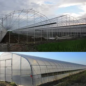 Estufa industrial comercial de outro tipo, estufa agrícola de plástico de tomate em túnel alto de único vão