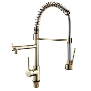 China Luxury Extension Hose Brass Flexible Gold Color Water Taps Pull Down Out Kitchen Faucet