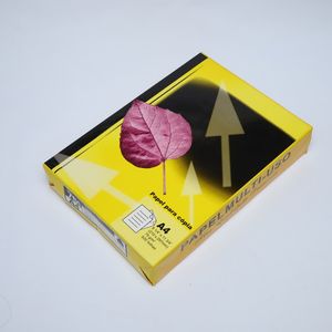 Precio de fábrica Suministro Multipropósito Doble <span class=keywords><strong>A4</strong></span> Copia 80 Gsm/blanco <span class=keywords><strong>A4</strong></span> <span class=keywords><strong>Papel</strong></span> de copia <span class=keywords><strong>A4</strong></span> <span class=keywords><strong>Papel</strong></span> <span class=keywords><strong>A4</strong></span> 75g 80g - Product Image 2