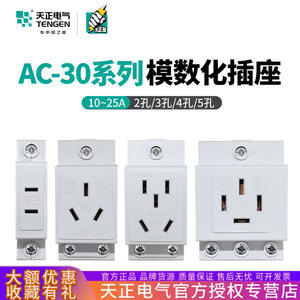 Tengen Ac30 Modular <b>Socket</b> 10A 2 Outlets <b>With</b> <b>Usb</b> Port Industrial Use - Product Image 3
