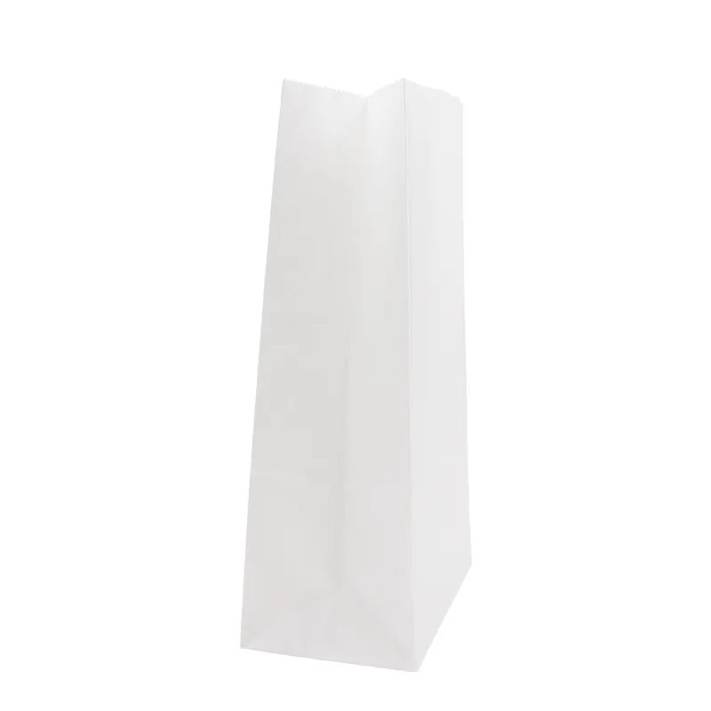 Luxury Custom Size Package Paper Handle Paper Bag Kraft Paper Shopping Bag