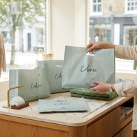 Sac de transport en plastique personnalisé avec poignée, design recyclable, prix d'usine, pour vêtements et shopping