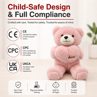 Petit ours en peluche personnalisé Poupée Pok Mouton avec vêtements de rechange Jouet en peluche Canard Pull Ours Vente en gros 30cm Peluche DIY Jouet Tissu