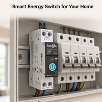 Relais intelligent WiFi Tuya 1P sur rail DIN avec surveillance de l'énergie en temps réel, contrôle à distance, CA 60Hz, capacité de coupure 6kA