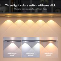 Lampe LED rechargeable à détecteur de mouvement pour armoire, 40 cm, 3 températures de couleur, design européen mural argenté, pour salon