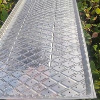 Plateau de semis en PVC pour riz, épaissi et réutilisable, pour la germination du riz et la plantation agricole - Vente en gros usine