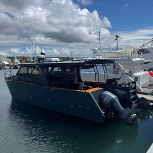 Catamaran de luxe en aluminium soudé de 10 m (33 pieds) pour la pêche, les loisirs, les sports nautiques, la croisière et la location - Product Image 2