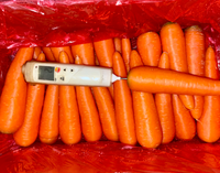 Carottes fraîches d'origine Shandong, légumes frais de Chine
