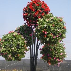 Sacs de jardinage verticaux pour murs, Jardins verticaux, Jardin miracle de Dubaï - Product Image 6