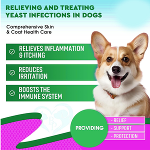 Tự nhiên con chó nấm men nhiễm trùng chống ngứa giọt-thảo dược bổ sung cho da dị ứng cứu trợ làm giảm viêm kích ứng miễn dịch - Product Image 2