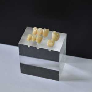 Gusrom CORAL: Polvere Colorante Ceramica da Laboratorio Odontotecnico, Smalto per Tecnici, Accessori per Apparecchiature di Terapia Orale, Blocco di Zirconia - Product Image 3