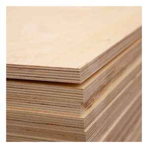 แผ่นไม้อัดเบิร์ช E0พรีเมี่ยมแผ่นฟิล์มกันน้ำไม้อัดที่ต้องเผชิญกับพื้นผิวเรียบทนต่อการสึกหรอสำหรับโครงการเฟอร์นิเจอร์วิลล่าอาคาร - Product Image 1