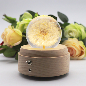 Quà Tặng bồ công anh 3D pha lê bóng ánh sáng ban đêm Pin gỗ cơ sở dẫn tâm trạng đèn với âm nhạc hộp - Product Image 5