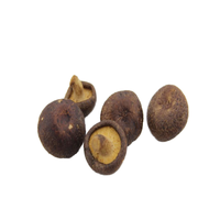 HALAL KOSHER CERTIFICAAT Oriental Orchard Knapperige Shiitake Champignon Chips Voedzame Gedroogde Voeding ODM OEM Smaak private label