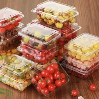 Rechthoekige Clamshell Hard Plastic Voedselverpakkingsdoos Met Deksel Voor Groenten En Fruit Blistercontainer