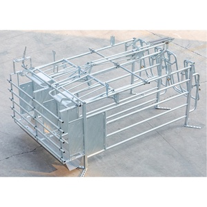 ท่อชุบสังกะสีแบบจุ่มร้อนใหม่ปี 2025 ขนาดสั่งทำได้ คอกคลอดสำหรับสุกร - Product Image 4