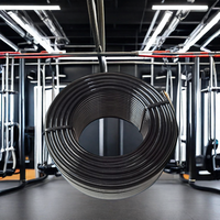 Câble en acier recouvert de TPU de 100 mètres, épaisseur 5 mm, pour système de poulie de machine d'exercice, pièces et accessoires, noir, pour la maison