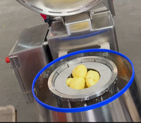 Multifunctionele industriële elektrische automatische roestvrijstalen snijmachine voor fruit, groenten en chips, ISO9001 CE gecertificeerd, met motor.