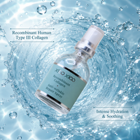 Brume d'essence à marque privée pour tous types de peaux, femmes et hommes, routine quotidienne hydratante et nourrissante, brume pour le visage