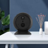 Tuya akıllı Ip ev bebek monitörü kamera 180 açı Video Cctv Wifi gece görüş kablosuz kamera güvenlik kamera