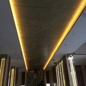 Phẳng Ribbon dệt dây lưới: thép không gỉ hình dạng khác nhau và màu sắc có sẵn lưới kim loại cho trần - Product Image 6