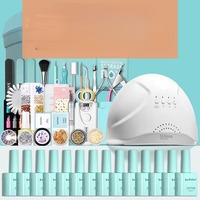 Kit Complet Professionnel d'Outils de Manucure pour Débutants et Usage en Salon, avec Lampe de Séchage pour Ongles, Fleurs Séchées et Boîte de Nail Art