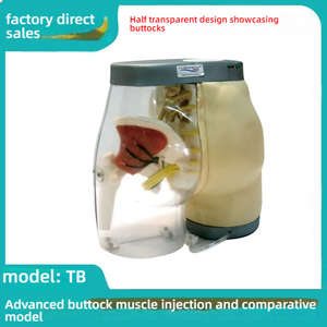 Modèle avancé de soins infirmiers en PVC pour l'entraînement par <span class=keywords><strong>injection</strong></span> <span class=keywords><strong>intramusculaire</strong></span> fessière <span class=keywords><strong>Injection</strong></span> musculaire efficace avec structure anatomique - Product Image 2